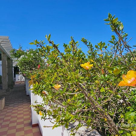 Blife Salinya Private Rooms At N125 Olhao Ngoại thất bức ảnh
